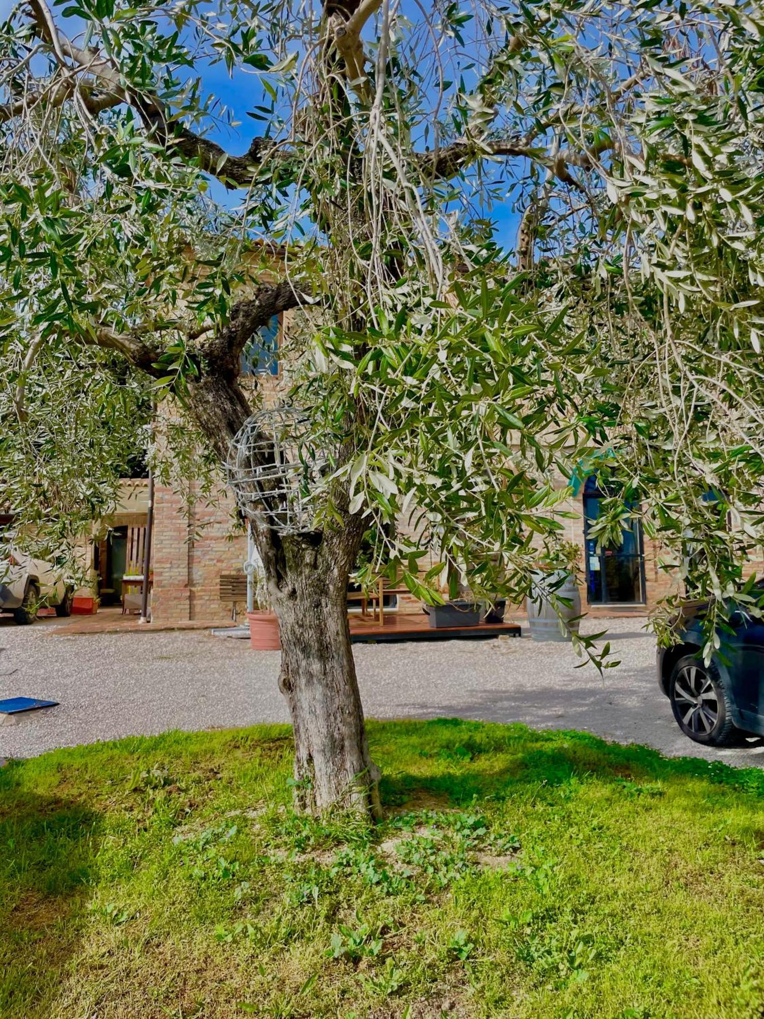 Masseria Tattoni - Residenza Di Campagna - Narramondo Villas Bellante Zewnętrze zdjęcie